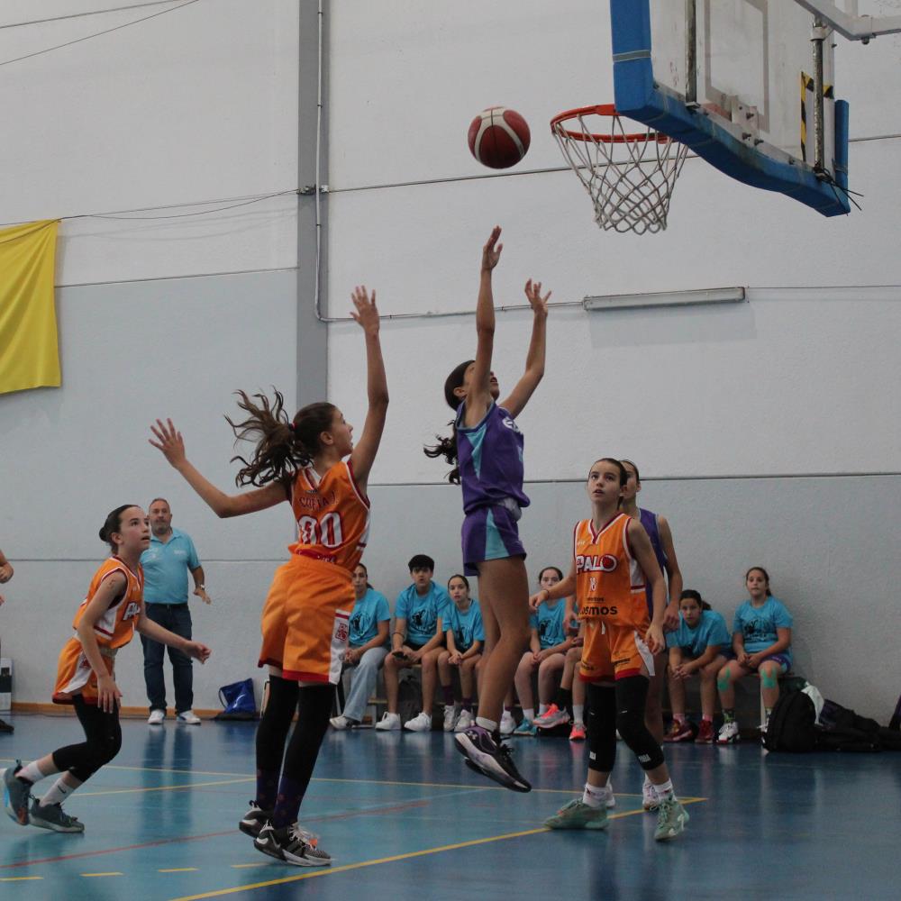 Finales Minibasket 23/24 (Fase Cto. Andalucía)