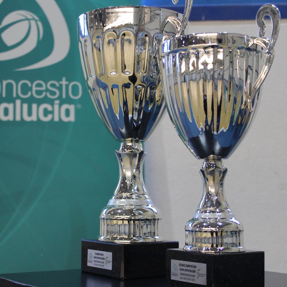 FASE FINAL COPA DIPUTACION SENIOR MASCULINO